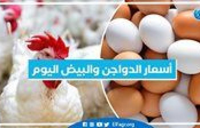 أخبار العالم : أسعار الدواجن والبيض اليوم الثلاثاء 10-12-2024 بمحافظة البحيرة