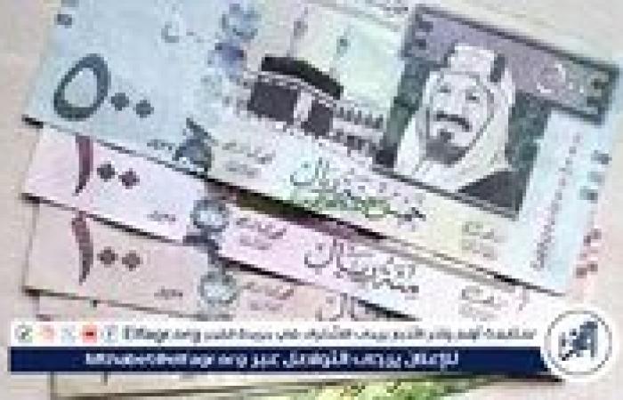 أخبار العالم : استقرار سعر الريال السعودي أمام الجنيه المصري اليوم الأربعاء 11 ديسمبر 2024