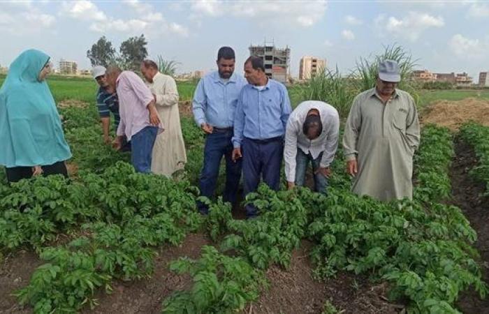 رياضة : البحوث الزراعية يستعرض حصاد أنشطة مبادرة المراكز الإرشادية خلال نوفمبر 2024