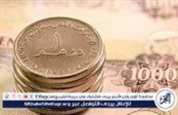 أخبار العالم : استقرار سعر الدرهم الإماراتي مقابل الجنيه المصري اليوم 16 ديسمبر 2024