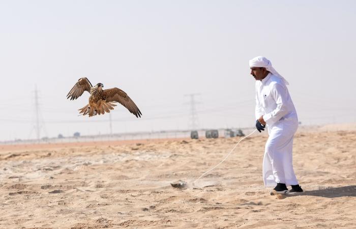 اخبار الرياضة اليوم : مشاركة كبيرة في مسابقة مهرجان الظفرة للصيد بالصقور