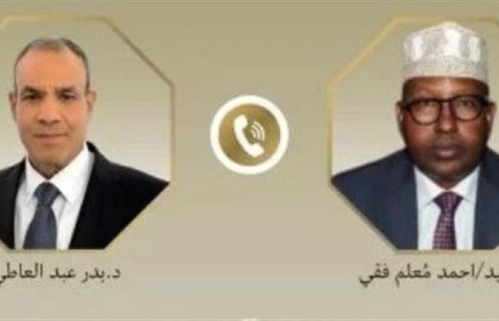 رياضة : وزير الخارجية: مصر تدعم وحدة واستقلال الصومال ونؤيدها في مكافحة الإرهاب