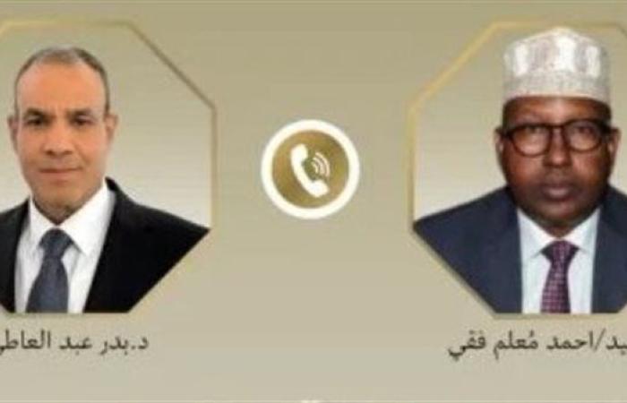 رياضة : وزير الخارجية: مصر مستعدة لمساعدة الصومال لتمكينه في تحقيق تطلعات الشعب الشقيق