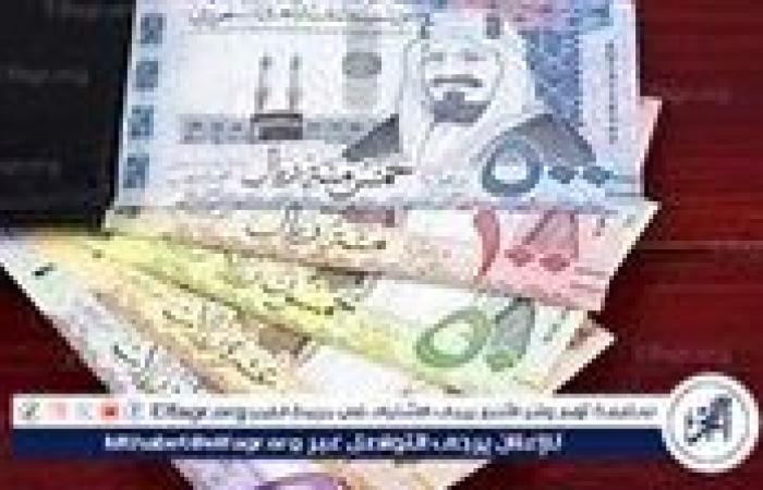 أخبار العالم : سعر الريال السعودي أمام الجنيه المصري بتعاملات اليوم الاثنين 6-1-2025 بالبنوك