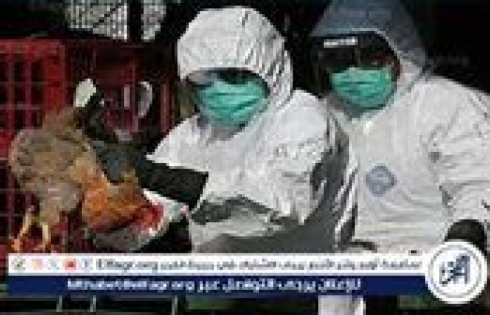 أخبار العالم : أول وفاة بشرية بسبب إنفلونزا الطيور H5N1 في الولايات المتحدة: التفاصيل والتحذيرات