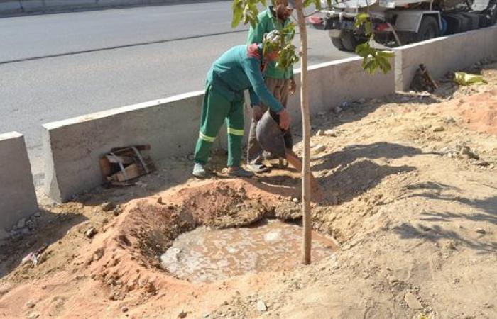 رياضة : تفاصيل تشجير الطريق الدائري بداية من المقطم في اتجاه الجيزة