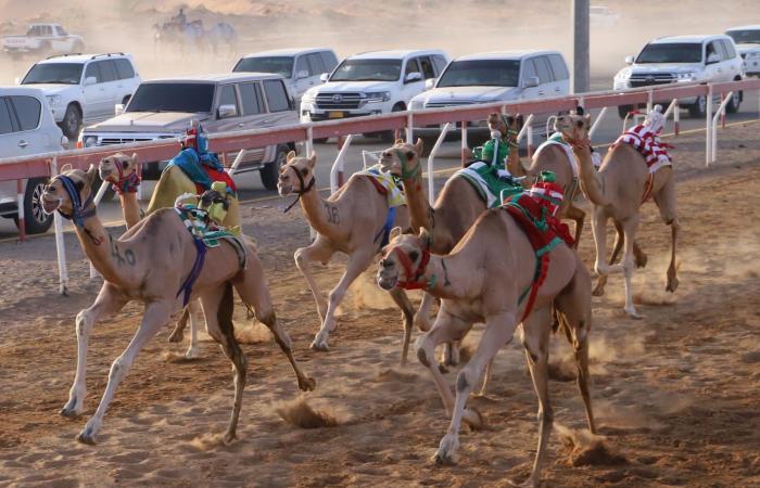 اخبار الرياضة اليوم : منافسات سن الفطامين في ميدان الذيد تنطلق السبت