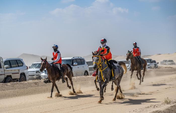 اخبار الرياضة اليوم : مهرجان سلطان بن زايد للقدرة يستأنف فعالياته