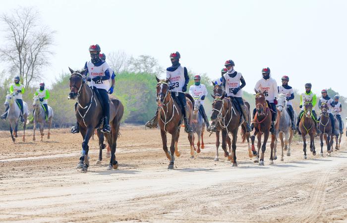 اخبار الرياضة اليوم : فتح التسجيل للمشاركة في مهرجان محمد بن راشد للقدرة