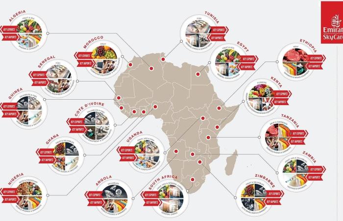 اخبار الاقتصاد اليوم «الإمارات للشحن الجوي» تؤكد التزامها بدعم نمو القارة الإفريقية